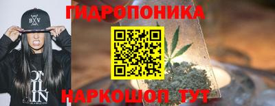 МДПВ Тула