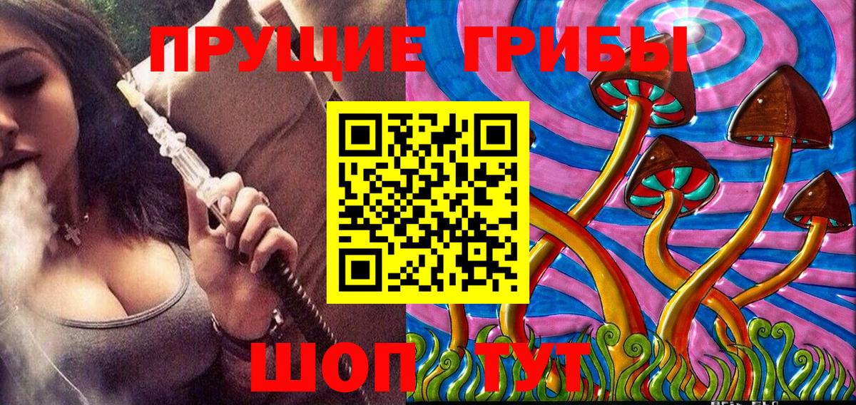 Галлюциногенные грибы Psilocybine cubensis  Вход с VPN  дарнет шоп  Арсеньев  Галлюциногенные грибы MAGIC MUSHROOMS 